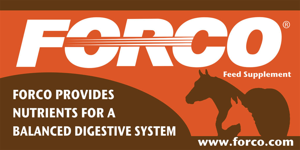 Forco-digestive-fortifier-feed-supplement