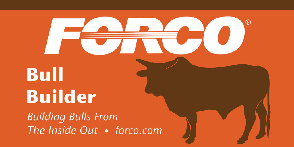 Forco-Bull-Builder-feed-supplement